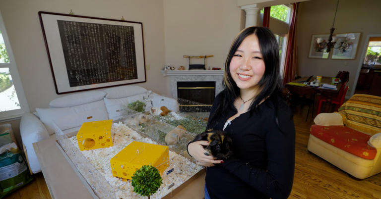 My Amazon Side Hustle Brings In $409K A Year — At Age 17